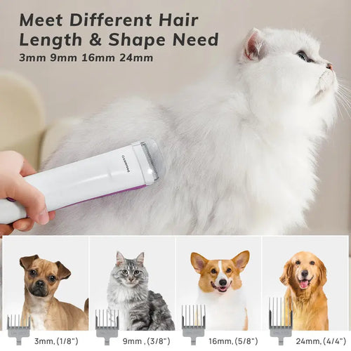 Geoorood Pet Grooming Kit